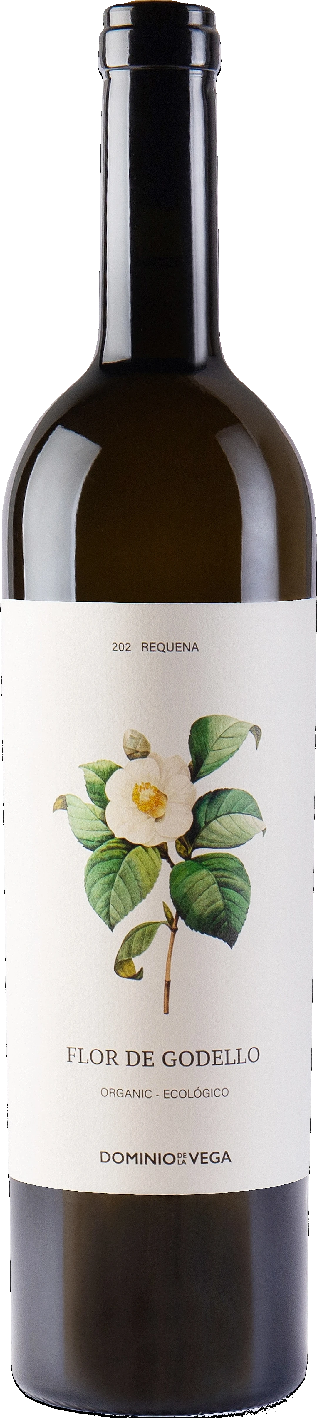 Flor de Godello 2024 BIO - Dominio de la Vega – Weißwein aus Spanien