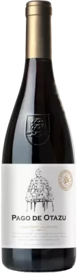 Pago de Otazu Chardonnay con Crianza 2022 - Bodega Otazu