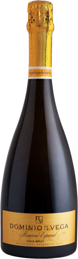 Dominio De La Vega Brut Reserva Especial 2019