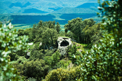 Castell d'Encus