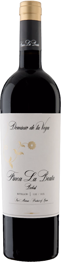 Finca La Beata Magnum 2014 - Dominio de la Vega – Rotwein aus Spanien