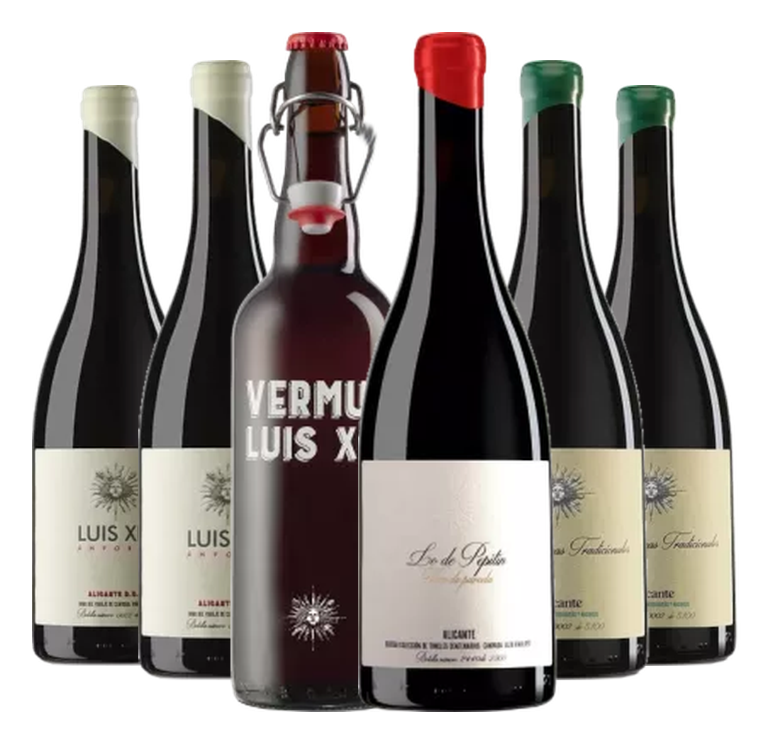 Bodegas Luis XIV - Alicante erleben