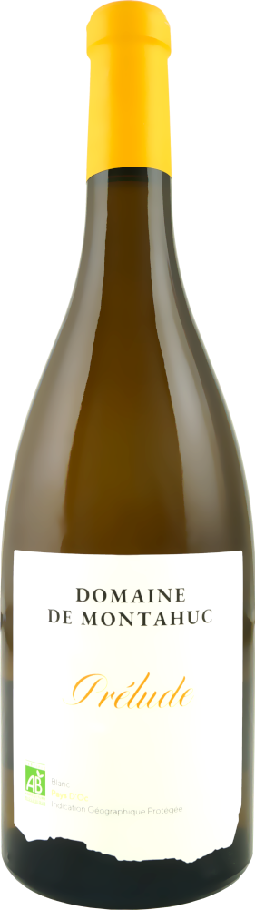Prélude 2023 - Domaine de Montahuc