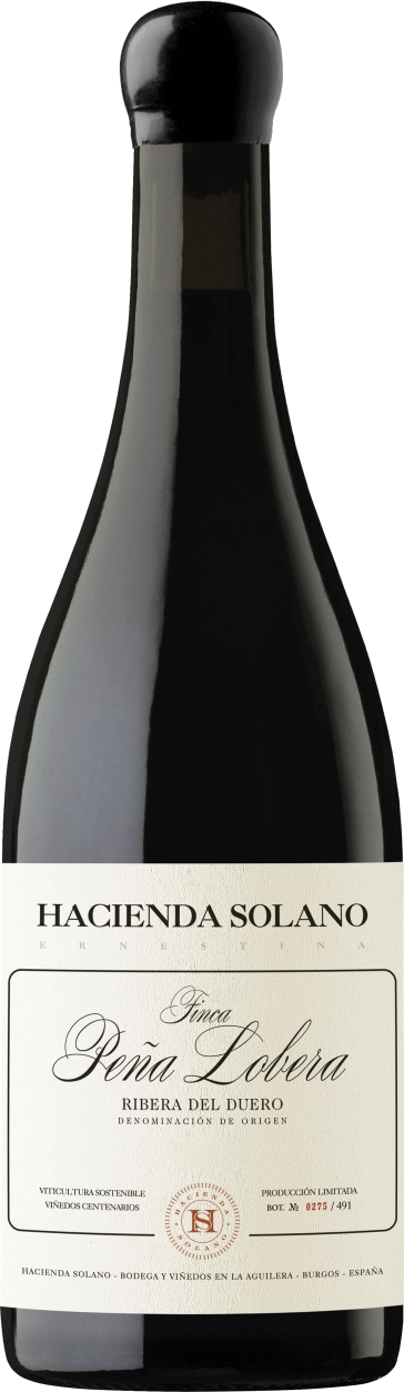 Finca Peña Lobera 2015 - Hacienda Solano