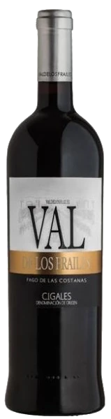Pago de las Costanas 2006 - Valdelosfrailes – Rotwein aus Spanien